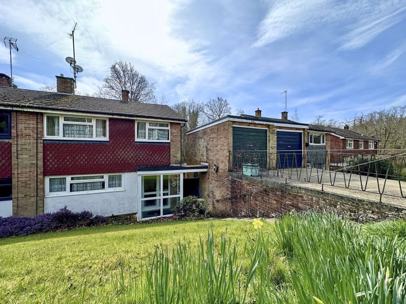 Main Image